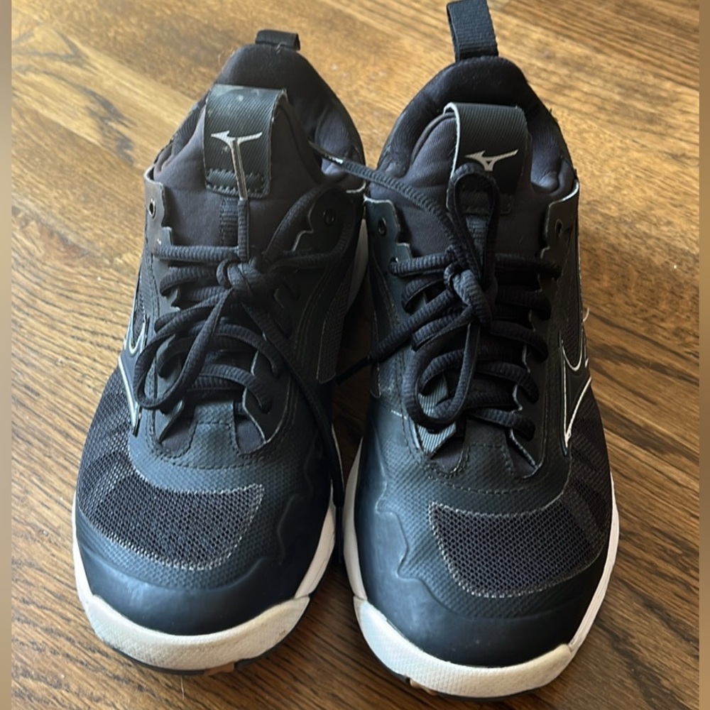 Mizuno Volleyball shoes